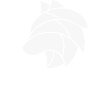 Homepage